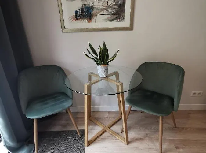 Soleil Levant ニース